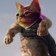 Illustration for article titled 'Shop Contest: The PS5 Cat, Winners!